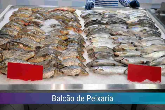 Locação de Balcão de Peixaria