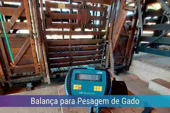 Locação de Balança para Pesagem de Gado