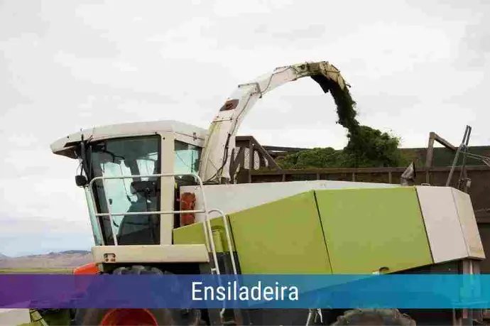 Locação de Ensiladeira