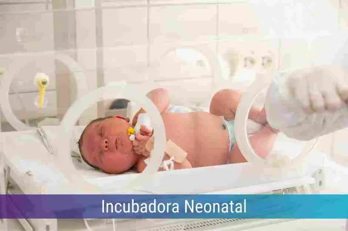Locação de Incubadora Neonatal