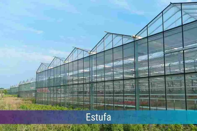 Locação de Estufa