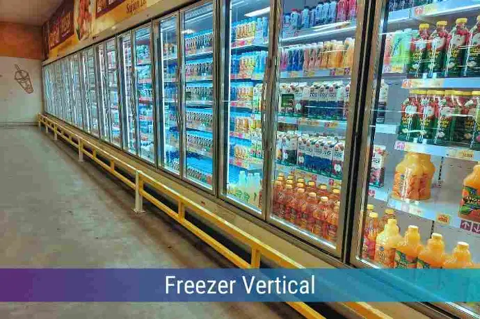 Locação de Freezer Vertical