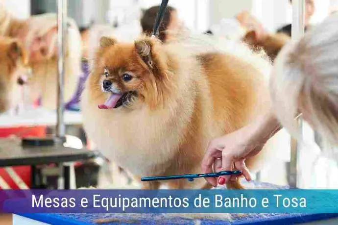 Locação de Mesas e Equipamentos de Banho e Tosa