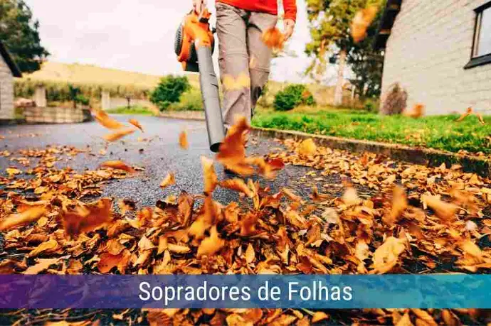 Locação de Sopradores de Folhas