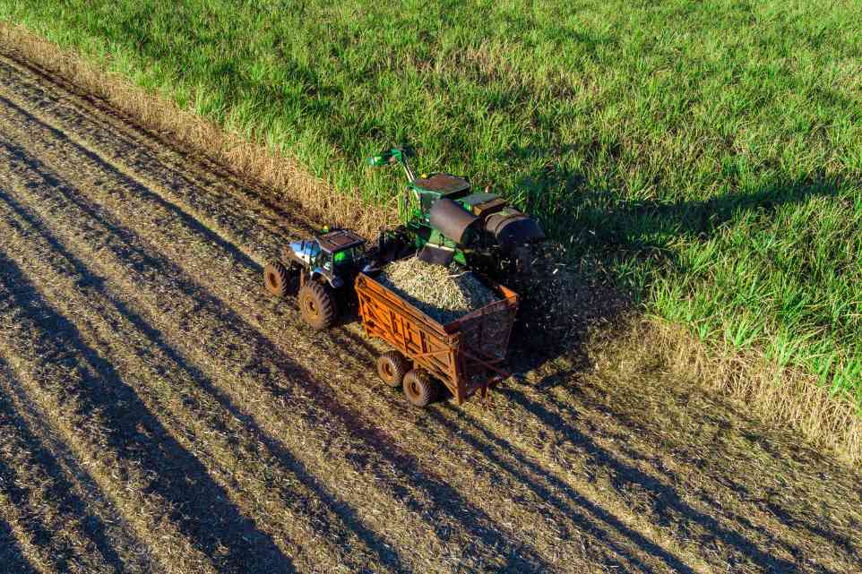 Locação para Agronegócio